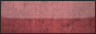   Steam 